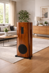 VA Coherence 12_grill for woofer only_walnut glossy_living room backround.png