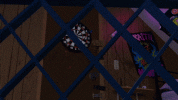 IMG_0188.gif