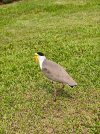 IMG20260328102018.jpg