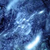 83DF2D3F-A417-462A-B56D-76027CD77E73.webp