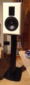 Surround Speaker.jpg