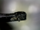 A0069-20260421_165232.png