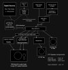 signal chain5.jpg