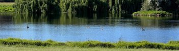 IMG_5970.jpeg