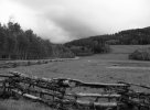 IMG_7706.jpeg