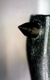 Vivid Line Stylus 2.jpg