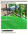FB_IMG_1786484079377.jpg