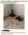 FB_IMG_1786484166882.jpg