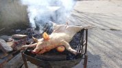 porc1.jpg