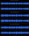 waveform(Ref -22dB RMS)_Night Blooms - Tidal MAX - 2026_800px.jpg