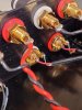 IMG_20200508_121612.jpg