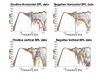 Raw Directivity data.png