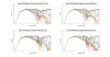 Fuance HFS Signature Raw Directivity data.png