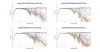 Neumann KH310 Raw Directivity data.png