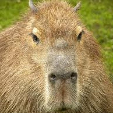 Fonzarelli | Audio Science Review (ASR) Forum