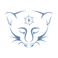 bearcatsandor