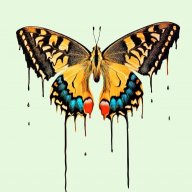 ButterflyFusion