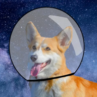 DrewP