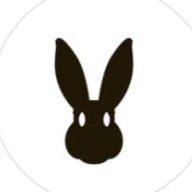 Black_Rabbit