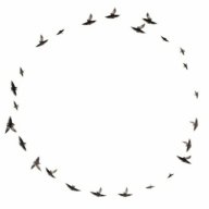 Birdcircles