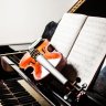MichellViolin