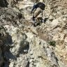 Vertical