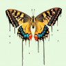ButterflyFusion