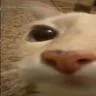OMNIN