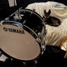 Yamaha4peace