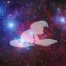Noponyheretoholdme