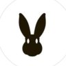 Black_Rabbit