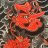 Tengu