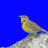 lark-fable