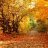 unbridled_id