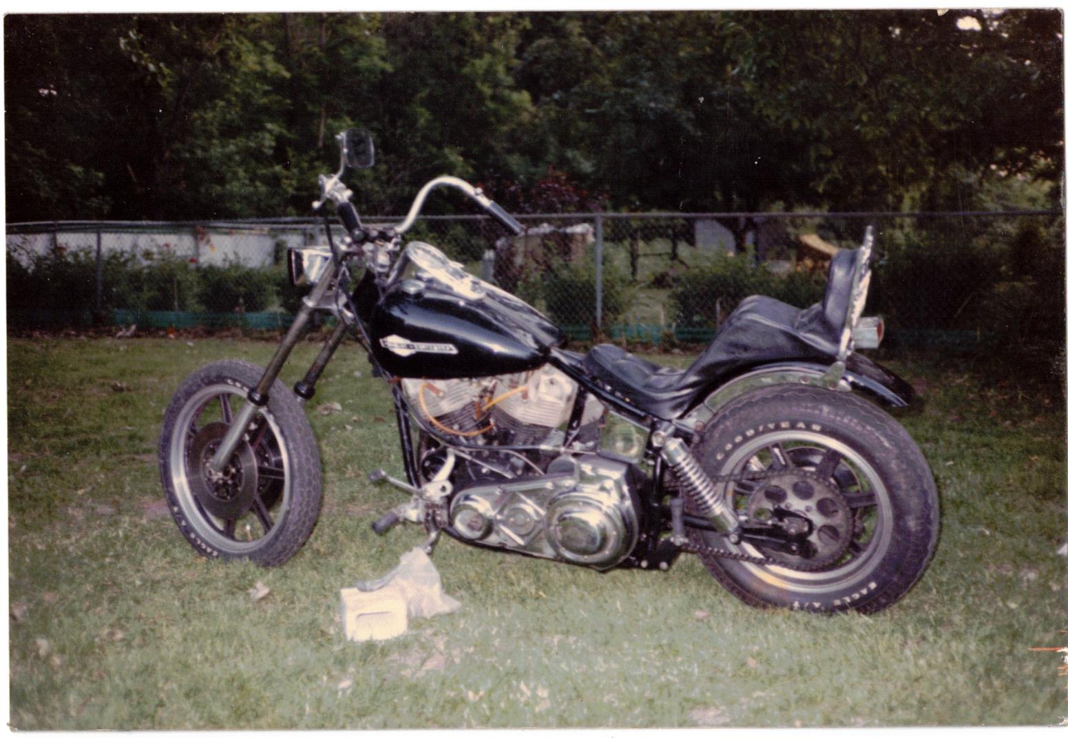 1966 Shovel6.jpg