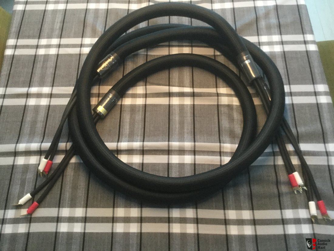 2193126-shunyata-anaconda-speaker-cable-25-meter-spade-to-spade-like-new.jpg