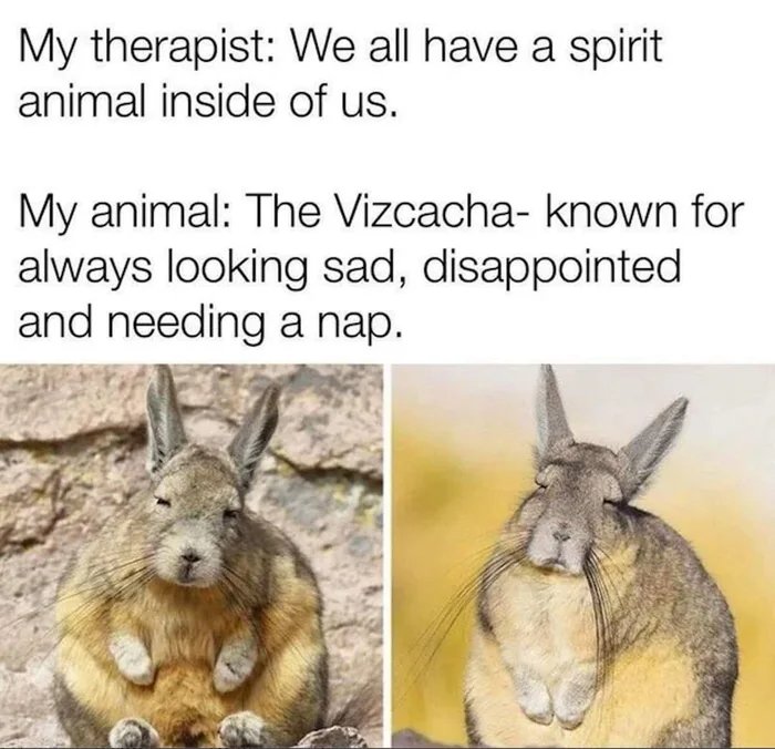 9gaggers-spirit-animal.jpg