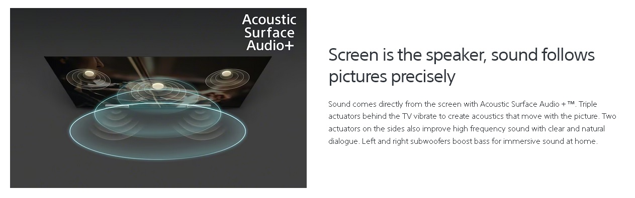 Acoustic Surface Audio＋.jpg