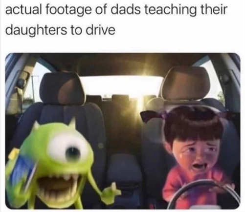 actual-footage-dads-teaching-daughters-to-drive-crying.jpg