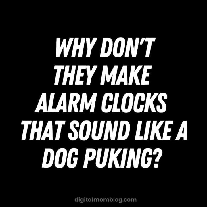 alarm-clock-dog-puking-quote-720x720.jpg