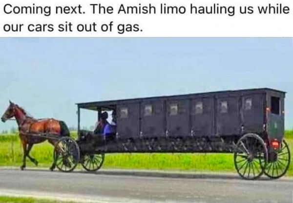 amish limo.jpg