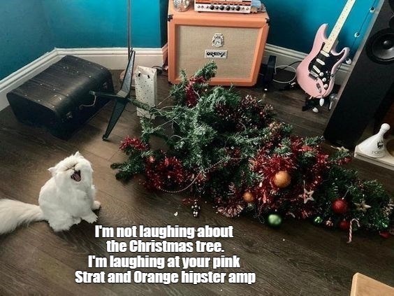 animal-1-orginge-not-laughing-about-christmas-tree-laughing-at-pink-strat-and-orange-hipster-...jpeg