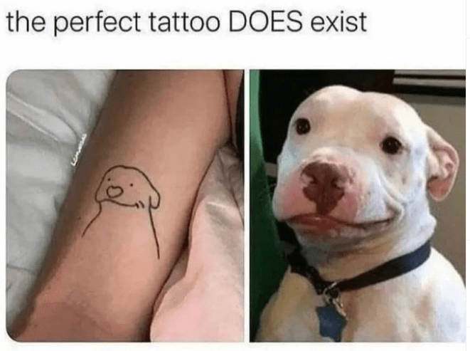 animal-perfect-tattoo-does-exist.png