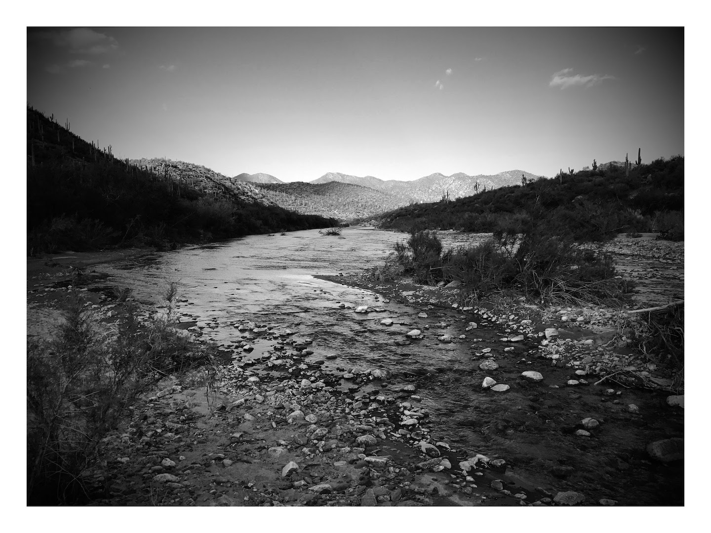 Arizona river.jpg