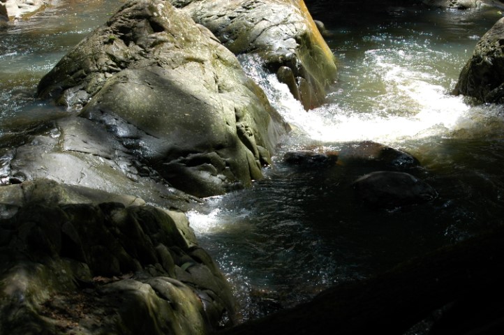 austinville rock pool (Small).jpeg