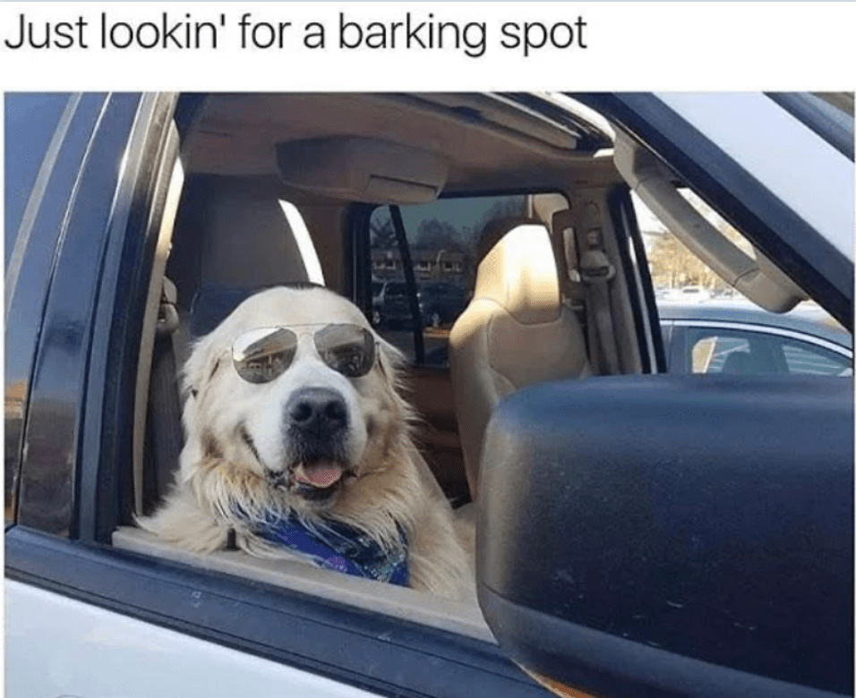Barking-spot.png