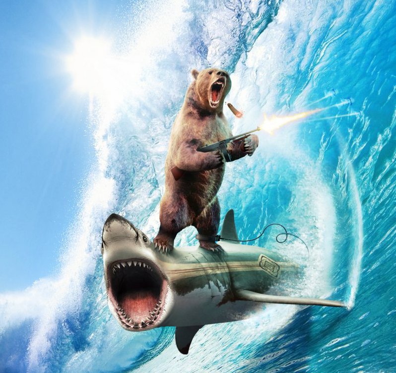 bear on shark surfboard with tommy gun.jpg