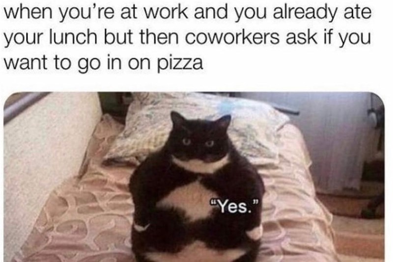 bed-at-work-and-already-ate-lunch-but-then-coworkers-ask-if-want-go-on-pizza-yes.jpeg