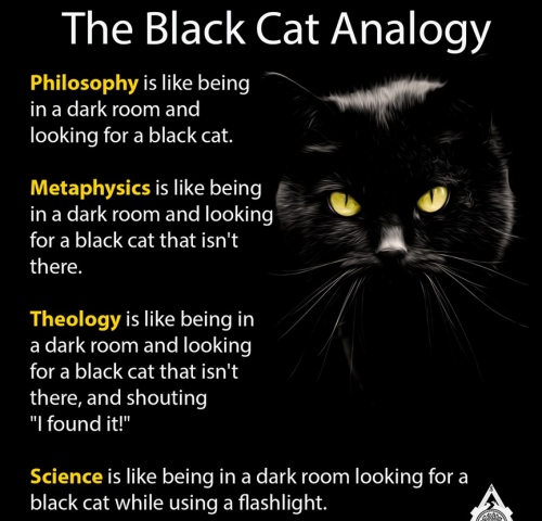 Black Cat Analogy.jpg