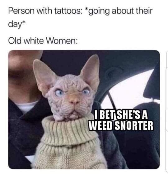 cat-person-with-tattoos-going-about-their-day-old-white-women-bet-shes-weed-snorter.jpeg